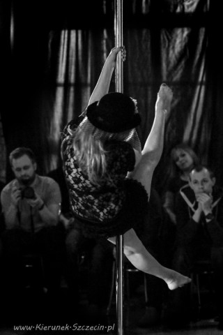 galeria fotografii Pole Dance Jungle Challenge, Szczecin 12.03.2016