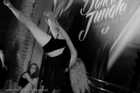 galeria fotografii Pole Dance Jungle Challenge, Szczecin 12.03.2016