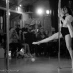 galeria fotografii Pole Dance Jungle Challenge, Szczecin 12.03.2016