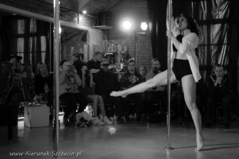 galeria fotografii Pole Dance Jungle Challenge, Szczecin 12.03.2016