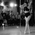 galeria fotografii Pole Dance Jungle Challenge, Szczecin 12.03.2016