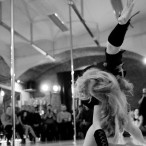 galeria fotografii Pole Dance Jungle Challenge, Szczecin 12.03.2016