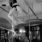 galeria fotografii Pole Dance Jungle Challenge, Szczecin 12.03.2016