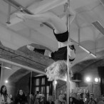 galeria fotografii Pole Dance Jungle Challenge, Szczecin 12.03.2016