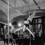 galeria fotografii Pole Dance Jungle Challenge, Szczecin 12.03.2016