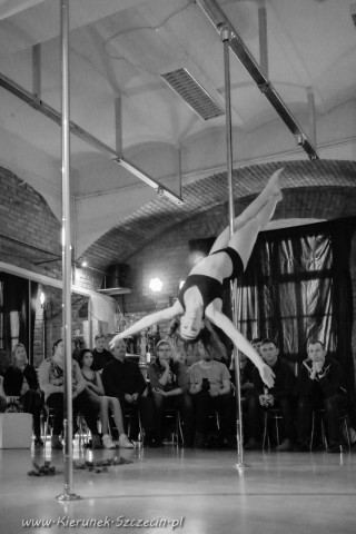 galeria fotografii Pole Dance Jungle Challenge, Szczecin 12.03.2016