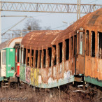 kierunek Szczecin, fotogaleria Szczeciński Złoty Pociąg