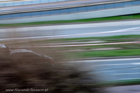 09.04.2016 36. Rajd Magnolii fot. © www.Kierunek.Szczecin.pl