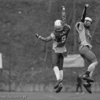 09.04.2016 Husaria Szczecin vs Warsaw Sharks fot. © www.kierunek.Szczecin.pl