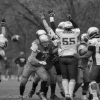 09.04.2016 Husaria Szczecin vs Warsaw Sharks fot. © www.kierunek.Szczecin.pl