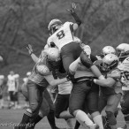 09.04.2016 Husaria Szczecin vs Warsaw Sharks fot. © www.kierunek.Szczecin.pl