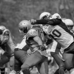 09.04.2016 Husaria Szczecin vs Warsaw Sharks fot. © www.kierunek.Szczecin.pl