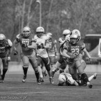 09.04.2016 Husaria Szczecin vs Warsaw Sharks fot. © www.kierunek.Szczecin.pl