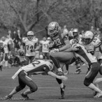 09.04.2016 Husaria Szczecin vs Warsaw Sharks fot. © www.kierunek.Szczecin.pl