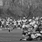 09.04.2016 Husaria Szczecin vs Warsaw Sharks fot. © www.kierunek.Szczecin.pl