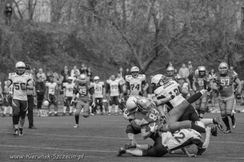 09.04.2016 Husaria Szczecin vs Warsaw Sharks fot. © www.kierunek.Szczecin.pl