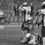 09.04.2016 Husaria Szczecin vs Warsaw Sharks fot. © www.kierunek.Szczecin.pl