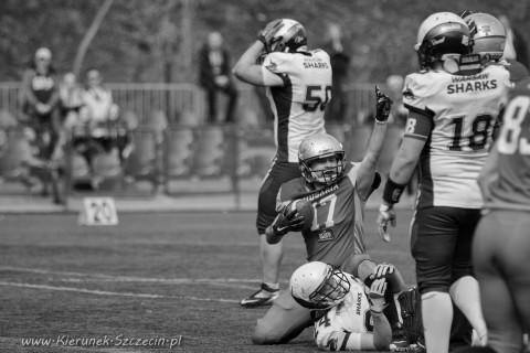 09.04.2016 Husaria Szczecin vs Warsaw Sharks fot. © www.kierunek.Szczecin.pl