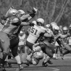 09.04.2016 Husaria Szczecin vs Warsaw Sharks fot. © www.kierunek.Szczecin.pl