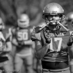 09.04.2016 Husaria Szczecin vs Warsaw Sharks fot. © www.kierunek.Szczecin.pl