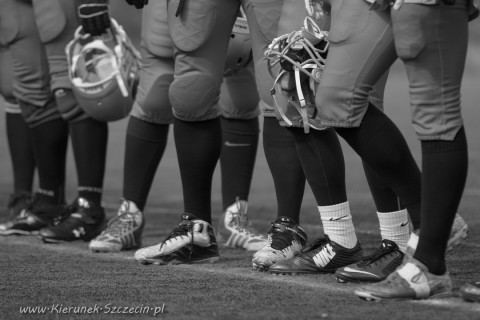 09.04.2016 Husaria Szczecin vs Warsaw Sharks fot. © www.kierunek.Szczecin.pl