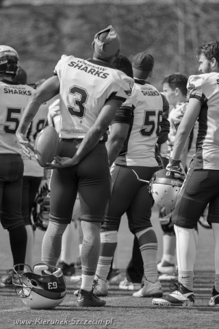 09.04.2016 Husaria Szczecin vs Warsaw Sharks fot. © www.kierunek.Szczecin.pl