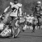 09.04.2016 Husaria Szczecin vs Warsaw Sharks fot. © www.kierunek.Szczecin.pl