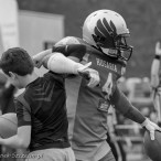 09.04.2016 Husaria Szczecin vs Warsaw Sharks fot. © www.kierunek.Szczecin.pl