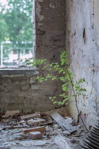 wiskord s.a, kierunek szczecin, galeria zdjęć, galeria fotografii, zakłady chemiczne chemitex-wiskord, fotoreportaż, ddfoto, vereinigte glanzstoff fabriken ag wuppertal-elberfeld-sidofsauer, vereinigte glanzstoff fabriken ag elberfeld werk sydowsaue, historia szczecina, wiskord