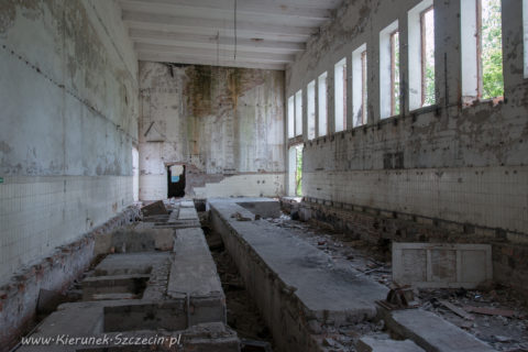 wiskord s.a, kierunek szczecin, galeria zdjęć, galeria fotografii, zakłady chemiczne chemitex-wiskord, fotoreportaż, ddfoto, vereinigte glanzstoff fabriken ag wuppertal-elberfeld-sidofsauer, vereinigte glanzstoff fabriken ag elberfeld werk sydowsaue, historia szczecina, wiskord