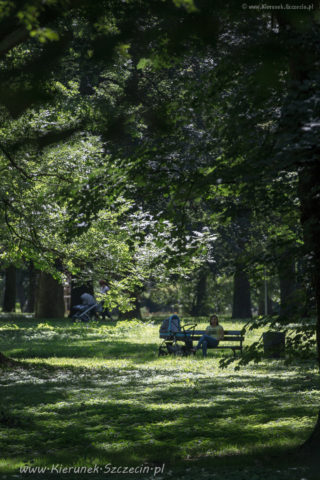 20.07.2016 Szczecin na co dzień, Park Żeromskiego