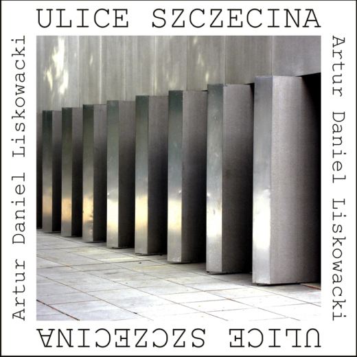 Ulice Szczecina, Spotkanie autorskie z Danielem Liskowackim