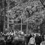 01.11.2016 Dzień Wszystkich Świętych w Szczecinie