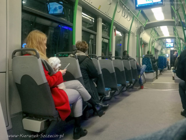 Fotografia. Szczecin na co dzień 22.01.2018 *slider