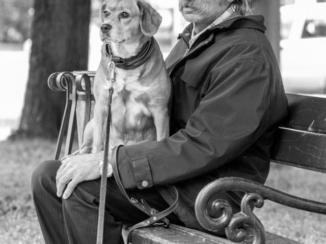 Szczecin. PROJEKT FOTOGRAFICZNY. DoGGy Szczecin, czyli psi Szczecin *slider