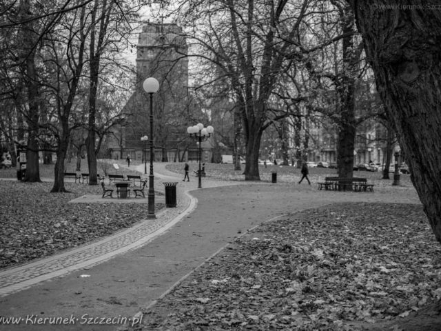 Fotografia. Szczecin na co dzień 20.11.2018 *slider
