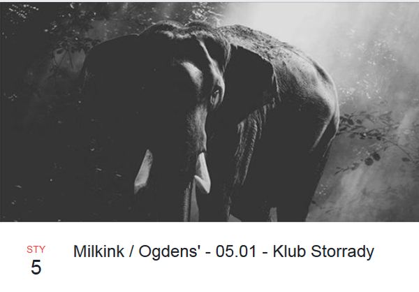 ARCHIWUM. Szczecin. Koncerty. 05.01.2019. Milkink / Ogdens’ @ Domek Grabarza