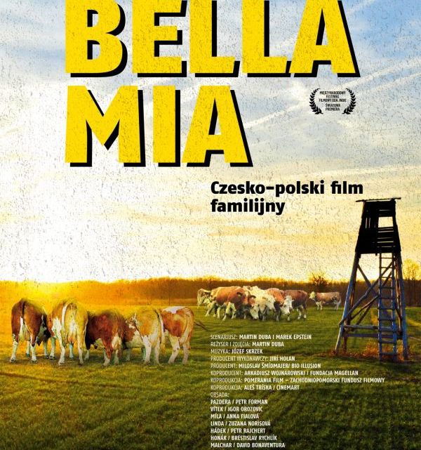 ARCHIWUM. Szczecin. Kino. Wydarzenia. 09.07.2019. Zamkowe Noce Filmowe – Bella Mia @ Zamek Książąt Pomorskich