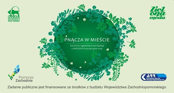 ARCHIWUM. Szczecin. Wydarzenia. 05.09.2019. Piknik Zielona Ściana – więcej tlenu dla Szczecina