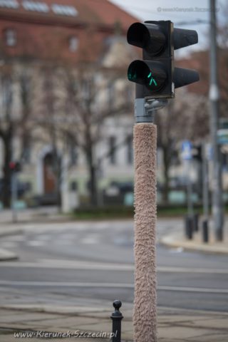 Fotografia. Szczecin na co dzień 28.12.2019