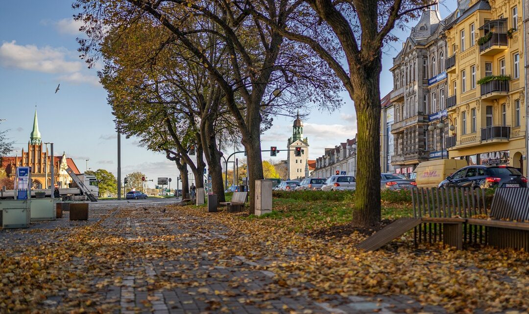 Fotografia. Szczecin na co dzień 03.11.2020. Aleja Kwiatowa w Szczecinie