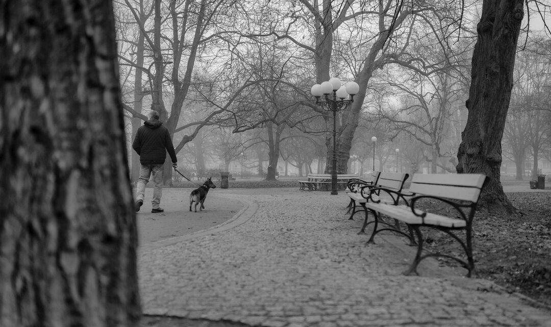 Fotografia. Szczecin na co dzień 02.03.2021. Park generała Władysława Andersa w Szczecinie