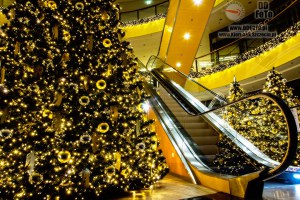 Zdjęcia Galerii Kaskada z dnia 19.12.2012-09