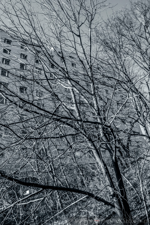 Szczecin luty 2014 :: 10