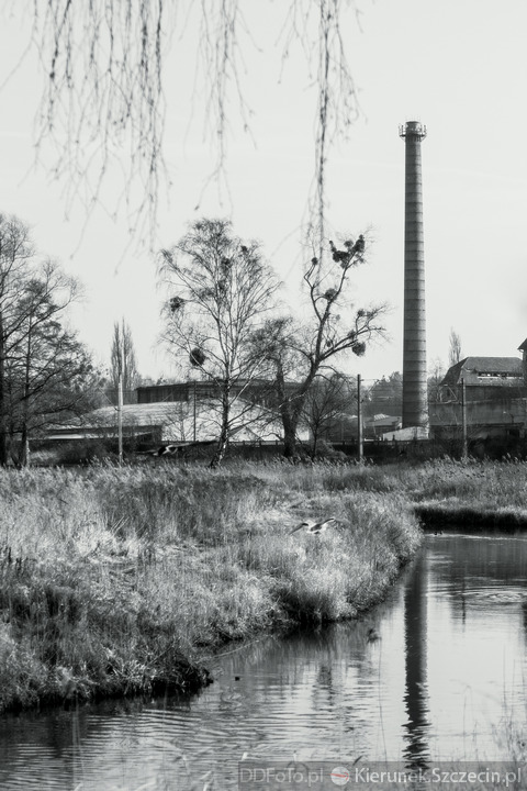 Szczecin luty 2014 :: 48