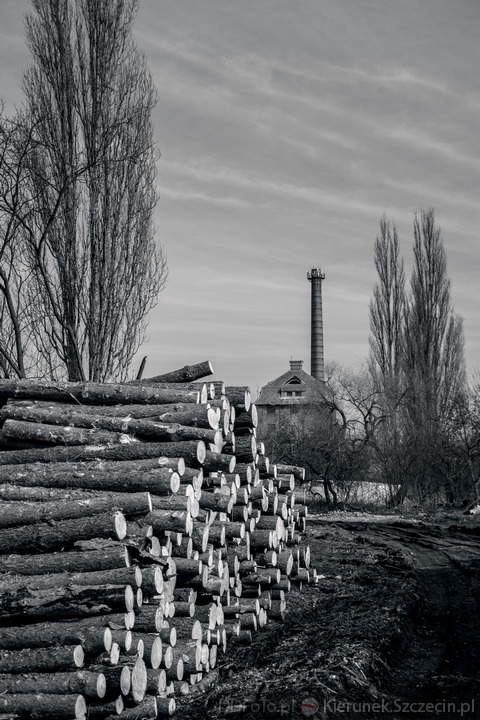 Szczecin luty 2014 :: 64
