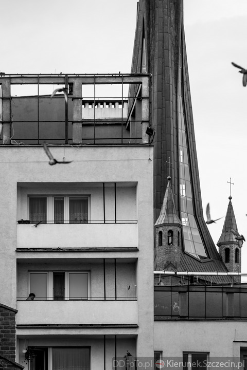 Szczecin 07-08-09-2014 :: 13