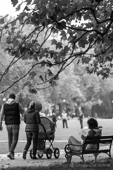 Jasne Błonia :: Szczecin :: 06