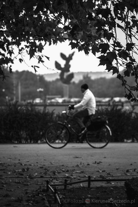 Jasne Błonia :: Szczecin :: 07
