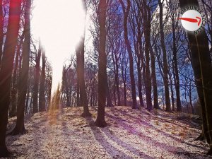 Szczecin na co dzień 2012-04-08